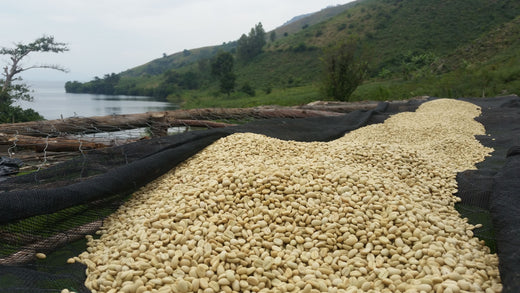 Small Batch Series DRC Rebuild Women’s Hope