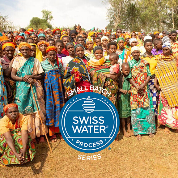 Small Batch Series: Burundi Rotheca Project