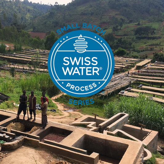Small Batch Series: Burundi Fairtrade Yagikawa