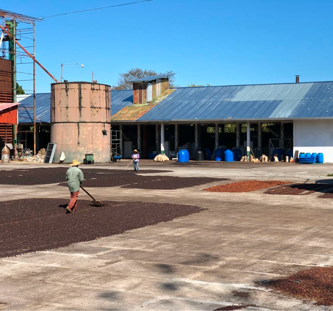 Small Batch Series: Panamá Chiriquí