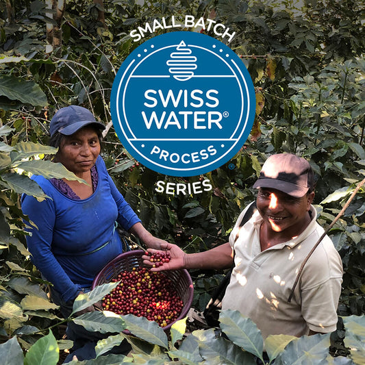 Small Batch Series: Organic Guatemala Cimarron Entre Rios
