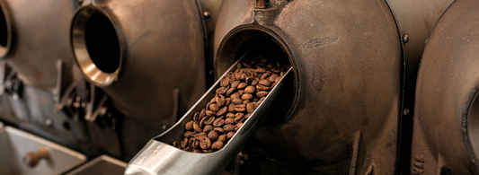 From Origin to Decaf: How Swiss Water®️ Process Protects the Integrity of Coffee Beans