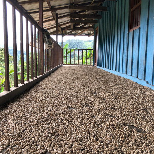 Small Batch Series: Peru Tapir Andino Red Honey