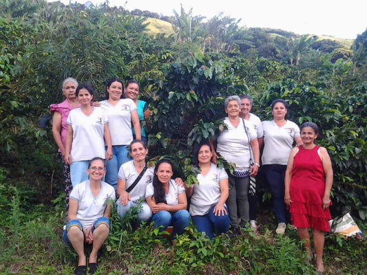 European Offering: Colombia Las Orquídeas