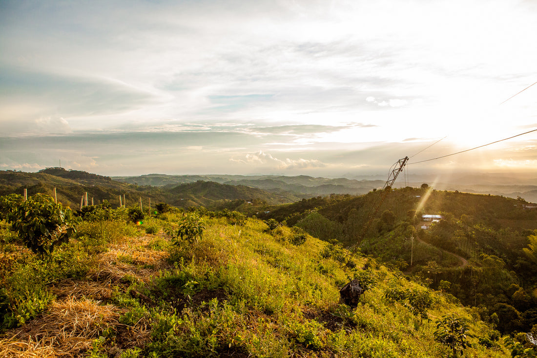 Horizon at El Vergel