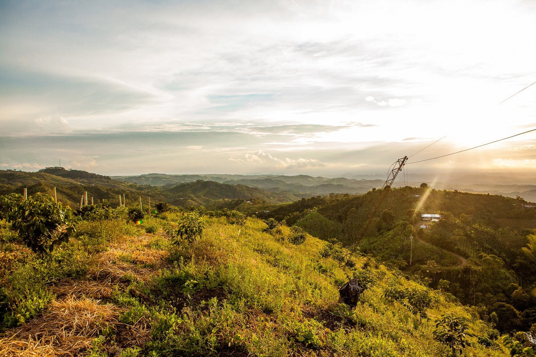 Horizon at El Vergel
