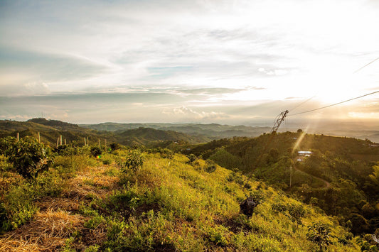Horizon at El Vergel