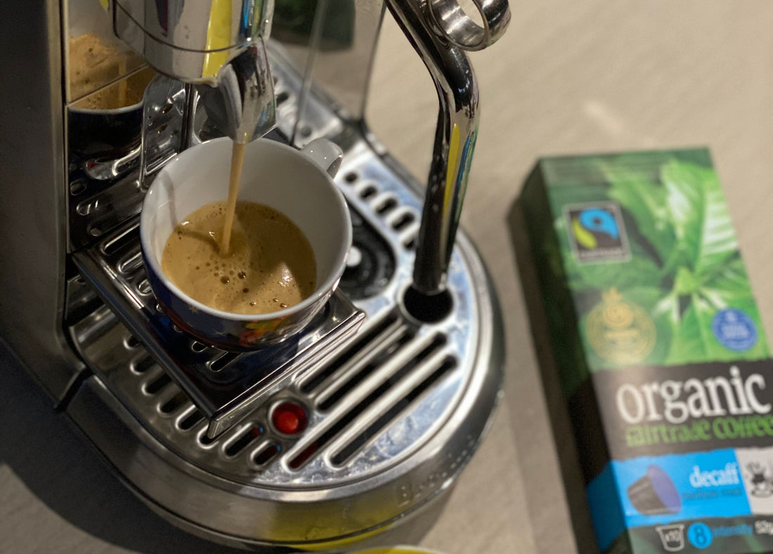 Roaster Spotlight: Bean Alliance