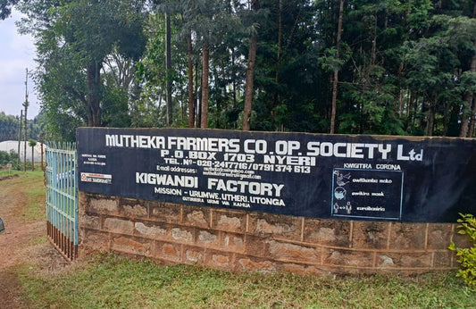 Small Batch Series Kenya Nyeri Mutheka + Othaya