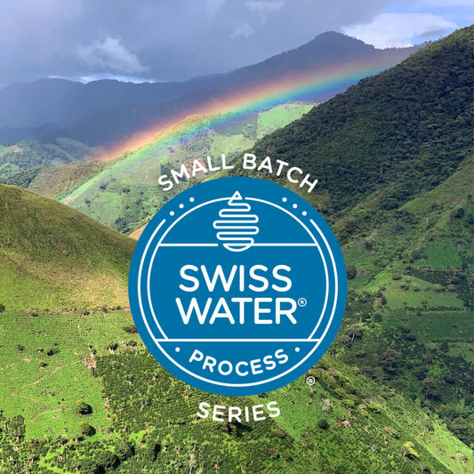 Small Batch Series: Colombia Gaitania