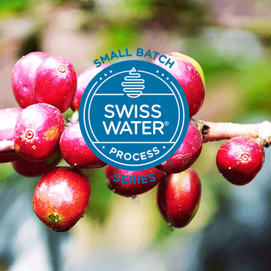 Swiss Water Small Batch Series: Ethiopia Gelgelu Edemi Natural