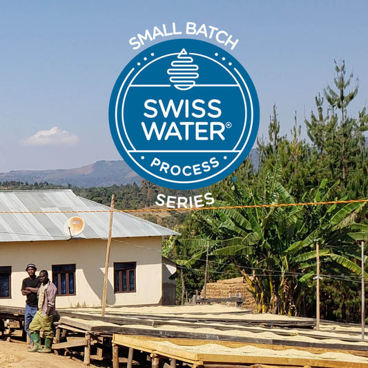 Small Batch Series: Tanzania Iloma