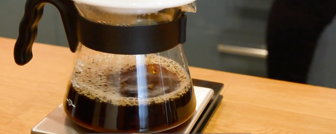 Video Education Series: Brewing Decaf Coffee
