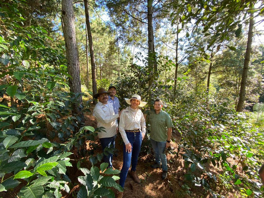 Small Batch Series Guatemala Los Conejos Natural