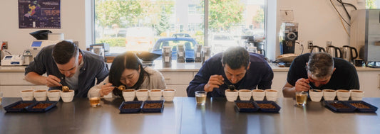 Appreciating Quality Coffee Through Tasting