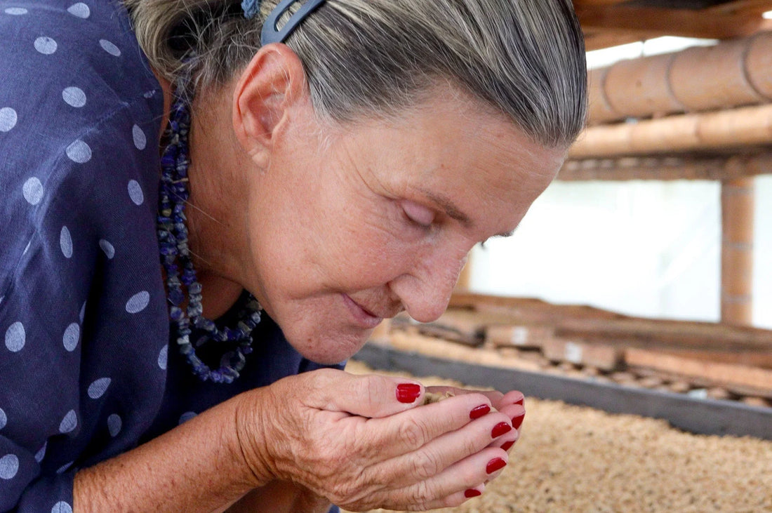 Colombia La Leona Honey