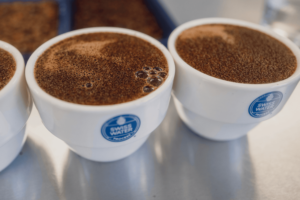 How Much Caffeine is Really in Decaf Coffee? | Swiss Water Process