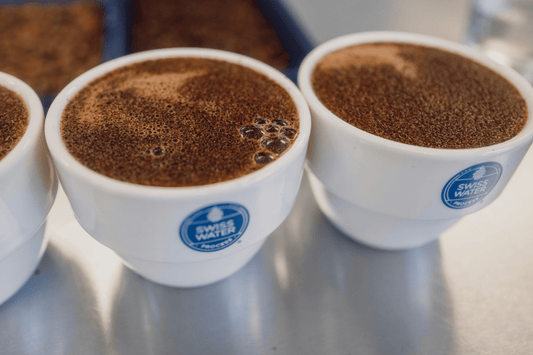 Decaf Myths Busted #5: "Even Decaf Contains A Significant Amount Of Caffeine, Right?" - Swiss Water® Process