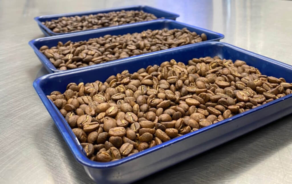 Does Roast Level Affect Caffeine in Coffee? Swiss Water® Process 