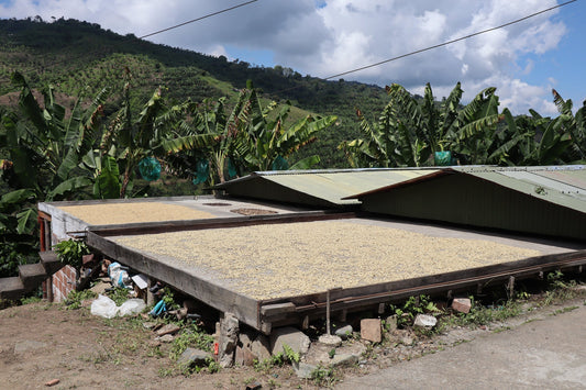 Traceable Colombia Anserma