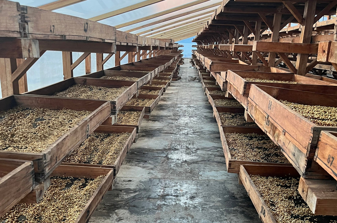 Small Batch Series Guatemala Santa Clara