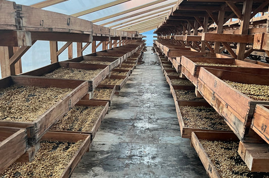 Small Batch Series Guatemala Santa Clara