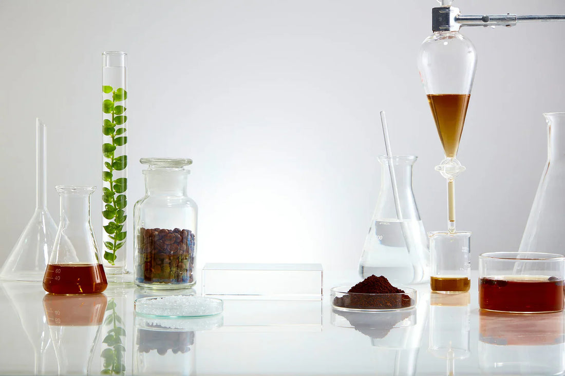 How Is My Coffee Decaffeinated? Swiss Water® Process