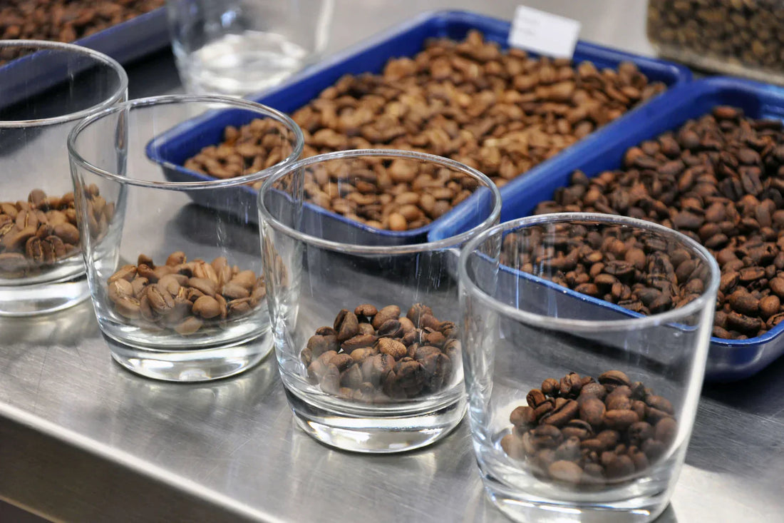 Optimizing Decaf Coffee Roasts - Swiss Water® Process