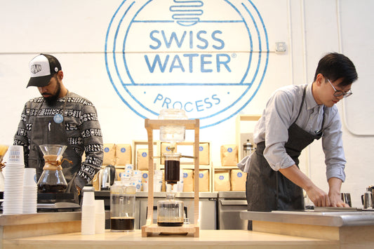 Two people brewing and preparing decaf coffee at a wooden bar with a white wall and Swiss Water Process logo in the background.