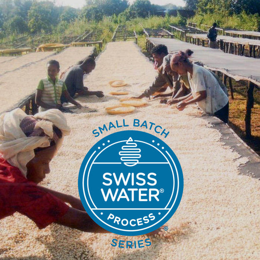 Swiss Water Small Batch Series: Ethiopia Limmu Kossa