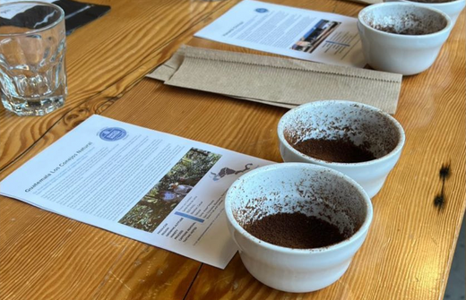 We’ve been cupping up a storm!