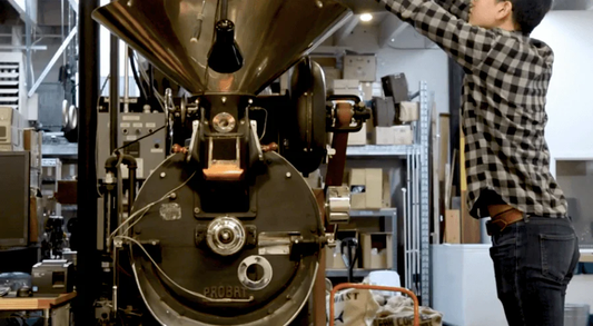 Swiss Water Process Video Education Series Roasting Decaf Coffee
