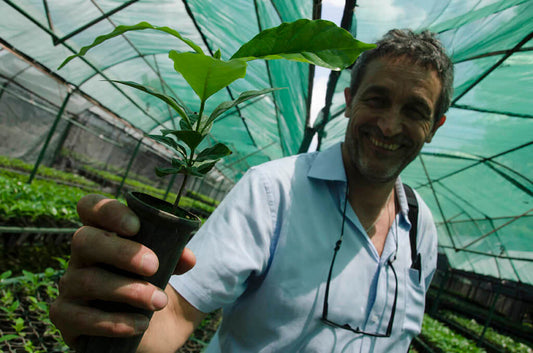 Swiss Water x World Coffee Research