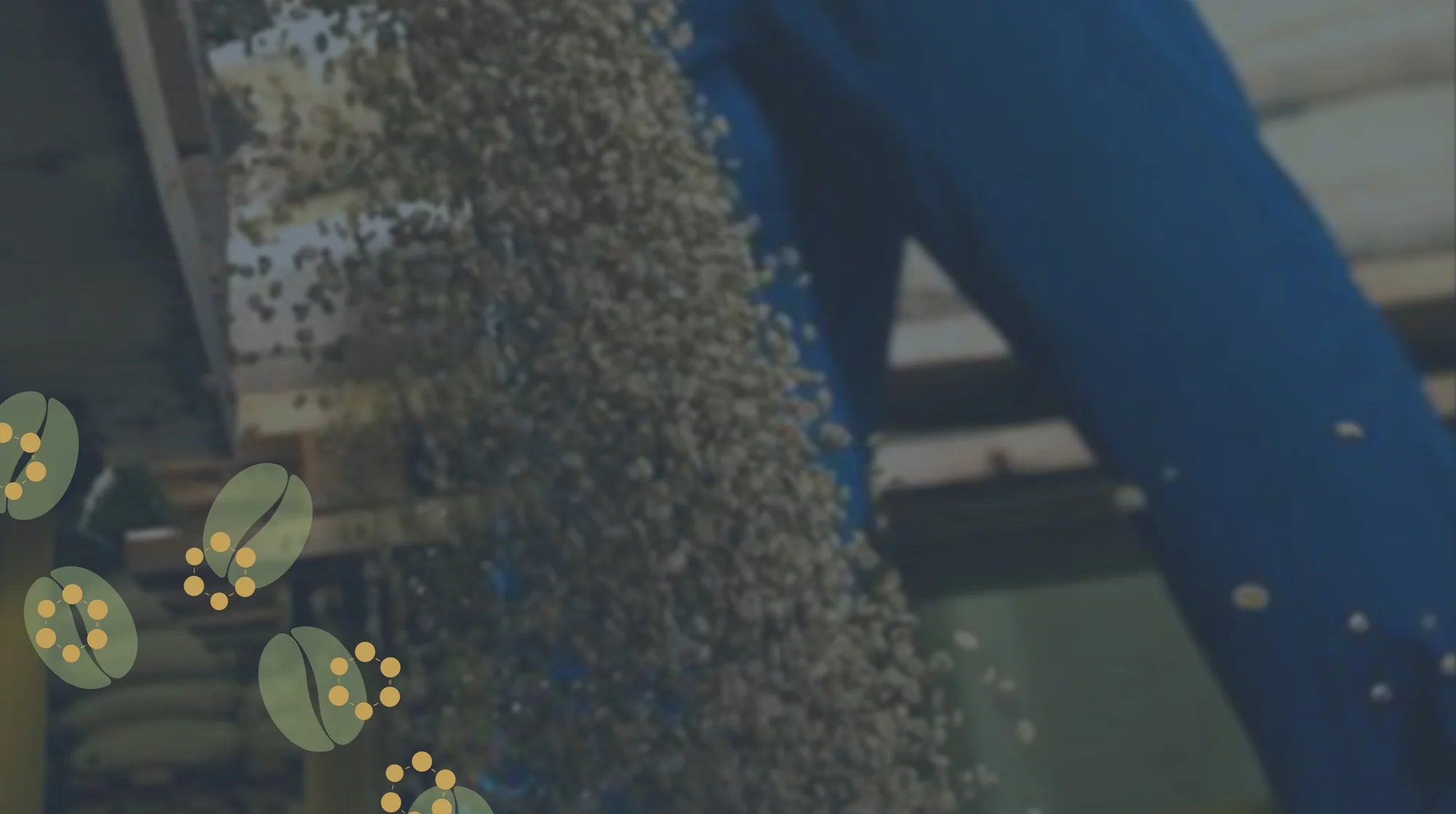 Load video: our process